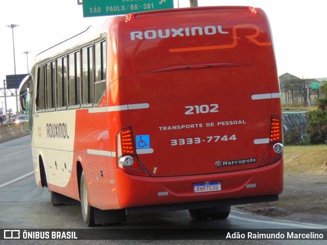 Rouxinol 2102 na cidade de Belo Horizonte, Minas Gerais, Brasil, por Adão Raimundo Marcelino. ID da foto: 9307806.