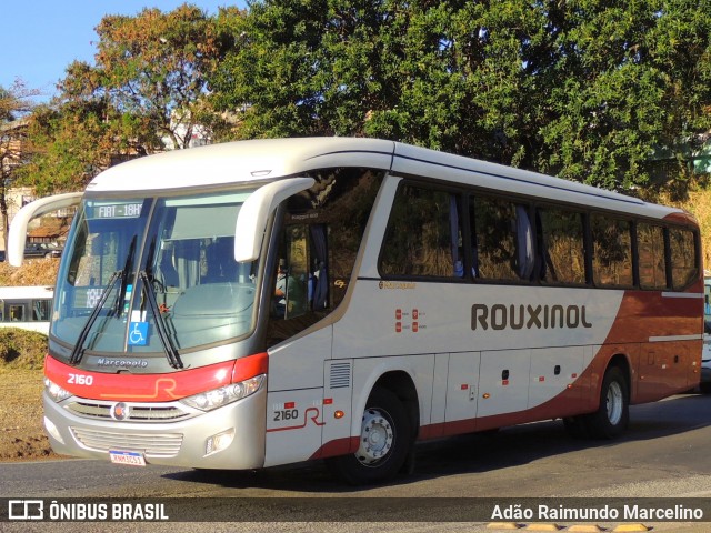 Rouxinol 2160 na cidade de Belo Horizonte, Minas Gerais, Brasil, por Adão Raimundo Marcelino. Número da foto: #9307441.