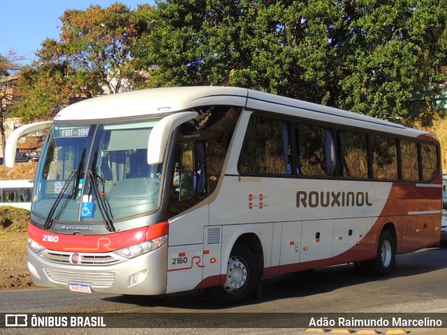 Rouxinol 2160 na cidade de Belo Horizonte, Minas Gerais, Brasil, por Adão Raimundo Marcelino. ID da foto: 9307441.