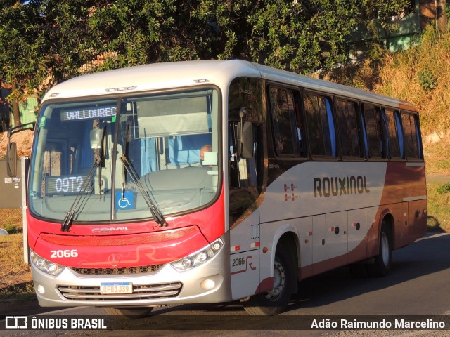 Rouxinol 2066 na cidade de Belo Horizonte, Minas Gerais, Brasil, por Adão Raimundo Marcelino. ID da foto: 9307224.