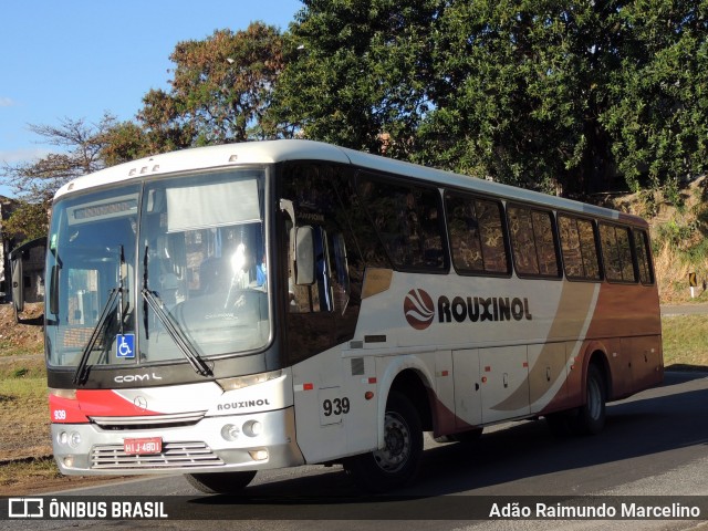 Rouxinol 939 na cidade de Belo Horizonte, Minas Gerais, Brasil, por Adão Raimundo Marcelino. ID da foto: 9307280.