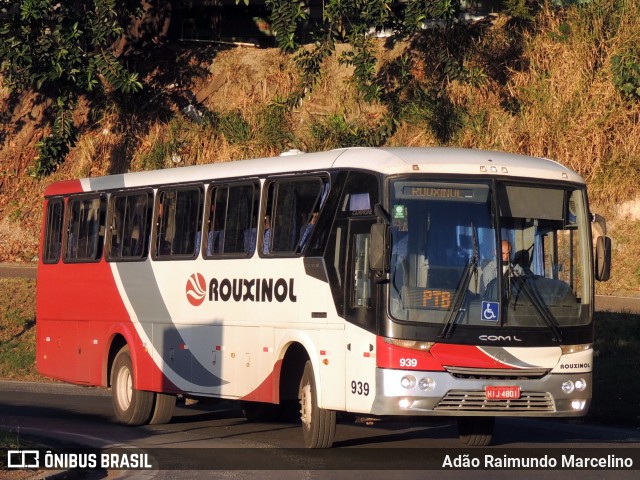 Rouxinol 939 na cidade de Belo Horizonte, Minas Gerais, Brasil, por Adão Raimundo Marcelino. ID da foto: 9307294.