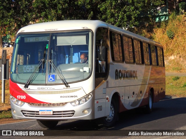 Rouxinol 1700 na cidade de Belo Horizonte, Minas Gerais, Brasil, por Adão Raimundo Marcelino. ID da foto: 9307401.