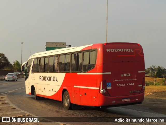 Rouxinol 2160 na cidade de Belo Horizonte, Minas Gerais, Brasil, por Adão Raimundo Marcelino. ID da foto: 9310391.