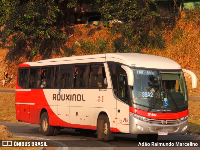 Rouxinol 2160 na cidade de Belo Horizonte, Minas Gerais, Brasil, por Adão Raimundo Marcelino. Número da foto: #9310386.