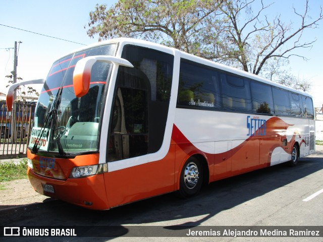Pullman Setter  na cidade de Santiago, Santiago, Metropolitana de Santiago, Chile, por Jeremias Alejandro Medina Ramirez. Número da foto: #9310508.