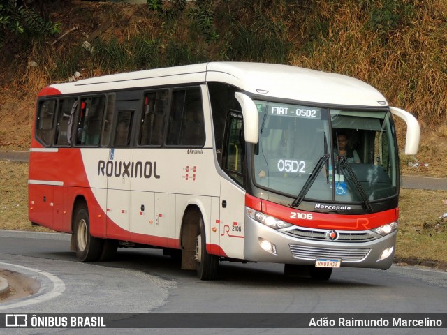 Rouxinol 2106 na cidade de Belo Horizonte, Minas Gerais, Brasil, por Adão Raimundo Marcelino. Número da foto: #9310277.