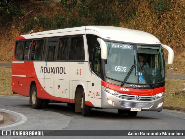 Rouxinol 2106 na cidade de Belo Horizonte, Minas Gerais, Brasil, por Adão Raimundo Marcelino. ID da foto: 9310277.