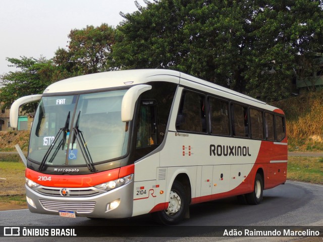 Rouxinol 2104 na cidade de Belo Horizonte, Minas Gerais, Brasil, por Adão Raimundo Marcelino. ID da foto: 9310041.