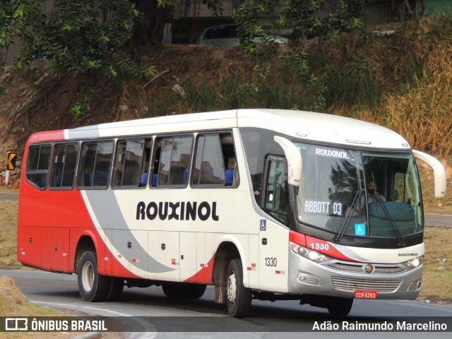 Rouxinol 1330 na cidade de Belo Horizonte, Minas Gerais, Brasil, por Adão Raimundo Marcelino. ID da foto: 9310237.