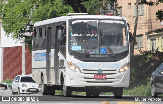 Sistema Complementar de Alagoas 1150 na cidade de Maceió, Alagoas, Brasil, por Müller Peixoto. Número da foto: #9308390.