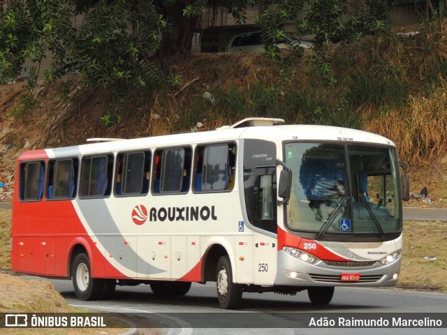 Rouxinol 250 na cidade de Belo Horizonte, Minas Gerais, Brasil, por Adão Raimundo Marcelino. Número da foto: #9310257.