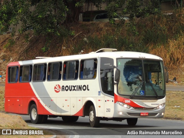 Rouxinol 250 na cidade de Belo Horizonte, Minas Gerais, Brasil, por Adão Raimundo Marcelino. ID da foto: 9310257.