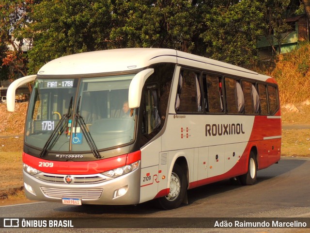 Rouxinol 2109 na cidade de Belo Horizonte, Minas Gerais, Brasil, por Adão Raimundo Marcelino. Número da foto: #9310321.