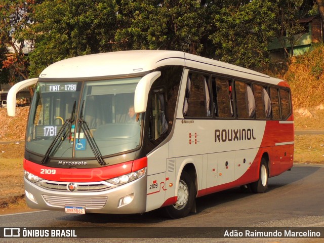 Rouxinol 2109 na cidade de Belo Horizonte, Minas Gerais, Brasil, por Adão Raimundo Marcelino. ID da foto: 9310321.