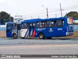 Transportes Capellini 19.173 na cidade de Monte Mor, São Paulo, Brasil, por Henrique Alves de Paula Silva. Número da foto: #9310951.