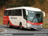 Rouxinol 2106 na cidade de Belo Horizonte, Minas Gerais, Brasil, por Adão Raimundo Marcelino. Número da foto: #9310277.