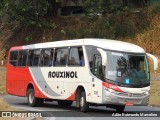 Rouxinol 1330 na cidade de Belo Horizonte, Minas Gerais, Brasil, por Adão Raimundo Marcelino. ID da foto: :id.