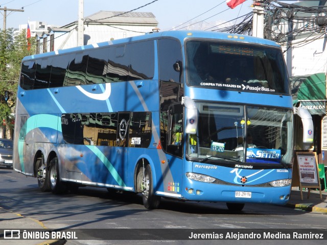 Pullman Setter  na cidade de Santiago, Santiago, Metropolitana de Santiago, Chile, por Jeremias Alejandro Medina Ramirez. ID da foto: 9313927.