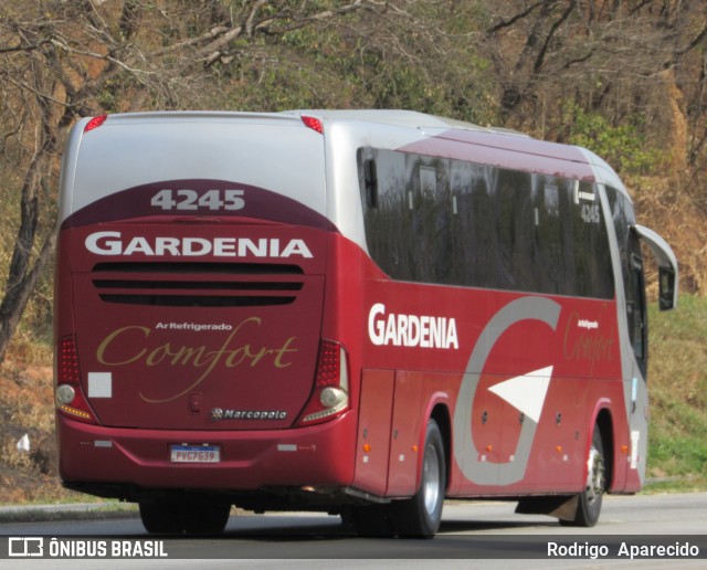 Expresso Gardenia 4245 na cidade de Carmópolis de Minas, Minas Gerais, Brasil, por Rodrigo  Aparecido. Número da foto: #9232960.