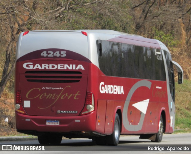 Expresso Gardenia 4245 na cidade de Carmópolis de Minas, Minas Gerais, Brasil, por Rodrigo  Aparecido. ID da foto: 9232960.