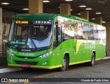 Setelagoano 19138 na cidade de Belo Horizonte, Minas Gerais, Brasil, por Vicente de Paulo Alves. Número da foto: #9234104.