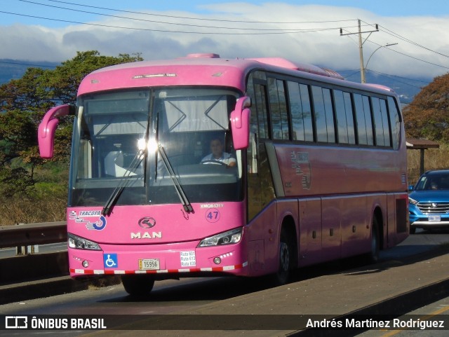 TRACOPA - Transportes Costarricenses Panameños 47 na cidade de Alajuela, Alajuela, Costa Rica, por Andrés Martínez Rodríguez. ID da foto: 9321079.