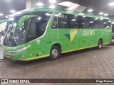Pássaro Verde 15135 na cidade de Belo Horizonte, Minas Gerais, Brasil, por Diogo Demex. Número da foto: #:id.