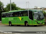 Pássaro Verde 20179 na cidade de Belo Horizonte, Minas Gerais, Brasil, por Paulo Sérgio Silva. ID da foto: :id.