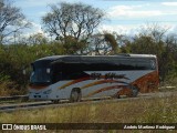Autobuses sin identificación - Costa Rica 00 na cidade de Alajuela, Alajuela, Costa Rica, por Andrés Martínez Rodríguez. Número da foto: #:id.