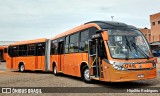 Expresso Azul 17416 na cidade de Curitiba, Paraná, Brasil, por Hipólito Rodrigues. Número da foto: #:id.