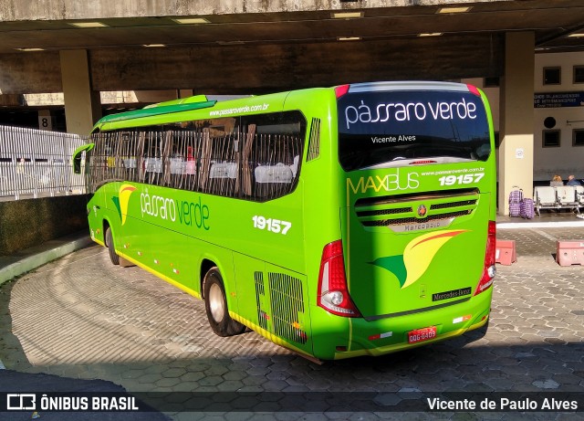 Pássaro Verde 19157 na cidade de Belo Horizonte, Minas Gerais, Brasil, por Vicente de Paulo Alves. ID da foto: 9241625.