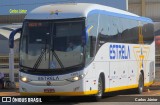 Viação Estrela 1309 na cidade de Goiânia, Goiás, Brasil, por Carlos Júnior. Número da foto: #9243852.