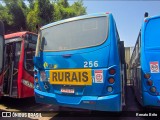ANSAL - Auto Nossa Senhora de Aparecida 256 na cidade de Juiz de Fora, Minas Gerais, Brasil, por Renato Brito. Número da foto: #:id.