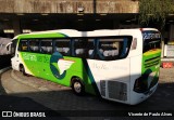 Pássaro Verde 1049 na cidade de Belo Horizonte, Minas Gerais, Brasil, por Vicente de Paulo Alves. Número da foto: #9241638.