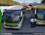 Pássaro Verde 1049 na cidade de Belo Horizonte, Minas Gerais, Brasil, por Vicente de Paulo Alves. Número da foto: #9241633.