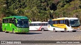 Pássaro Verde 19163 na cidade de Leopoldina, Minas Gerais, Brasil, por Júlio César Paixão Lacerda. Número da foto: #:id.