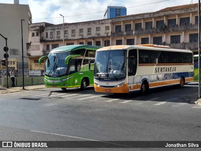 Viação Sertaneja 770 na cidade de Belo Horizonte, Minas Gerais, Brasil, por Jonathan Silva. Número da foto: #9245400.