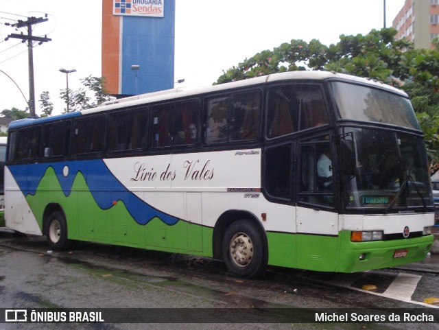 Lírio dos Vales RJ 602.003 na cidade de Rio de Janeiro, Rio de Janeiro, Brasil, por Michel Soares da Rocha. Número da foto: #9246972.
