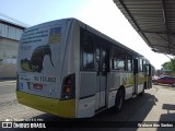 Viação Nilopolitana RJ 123.082 na cidade de Queimados, Rio de Janeiro, Brasil, por Walace dos Santos. Número da foto: #9245949.