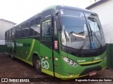 Pássaro Verde 1021 na cidade de Minas Novas, Minas Gerais, Brasil, por Reginaldo Barbosa dos Santos. Número da foto: #:id.