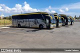 RodeRotas - Rotas de Viação do Triângulo 7319 na cidade de Caldas Novas, Goiás, Brasil, por Vicente Barbosa. Número da foto: #9250393.